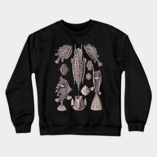 Ernst Haeckel Ostraciontes Fish Aubergine Crewneck Sweatshirt